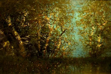 NyirfaerdonPortuguês: Birch Forestn